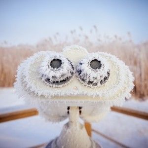 Meet your Posher, Warren